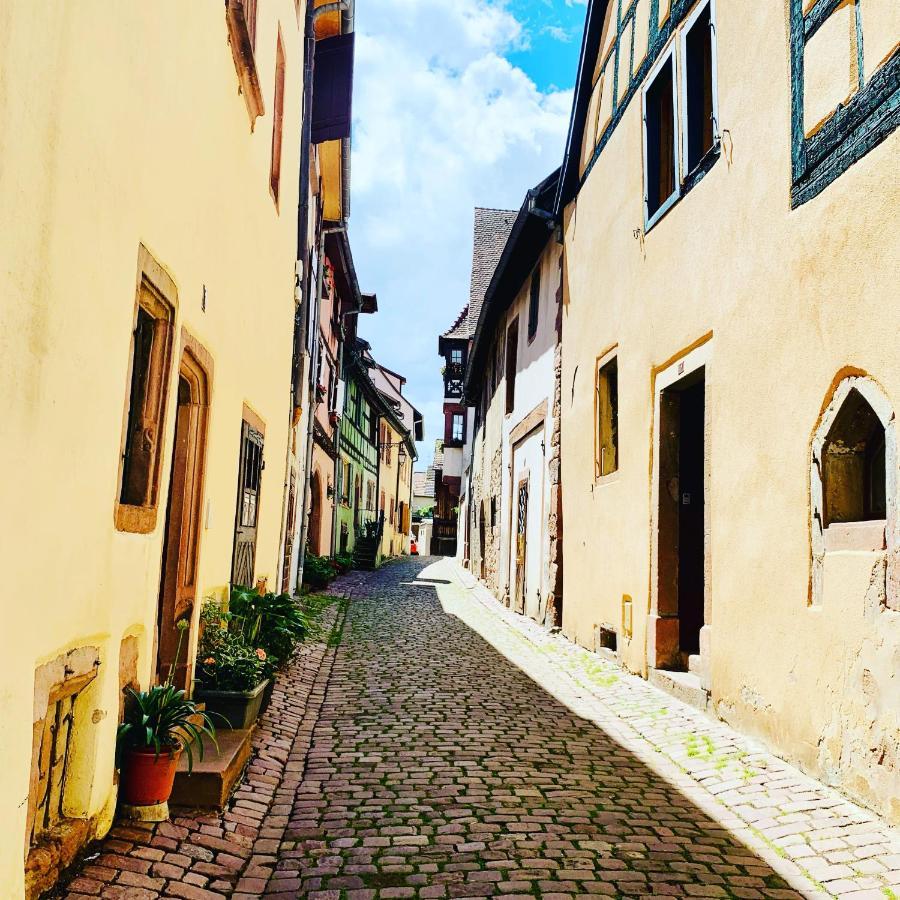 La Ruelle Alsacienne, Charme Alsacien Et Confort Moderne Riquewihr Eksteriør billede